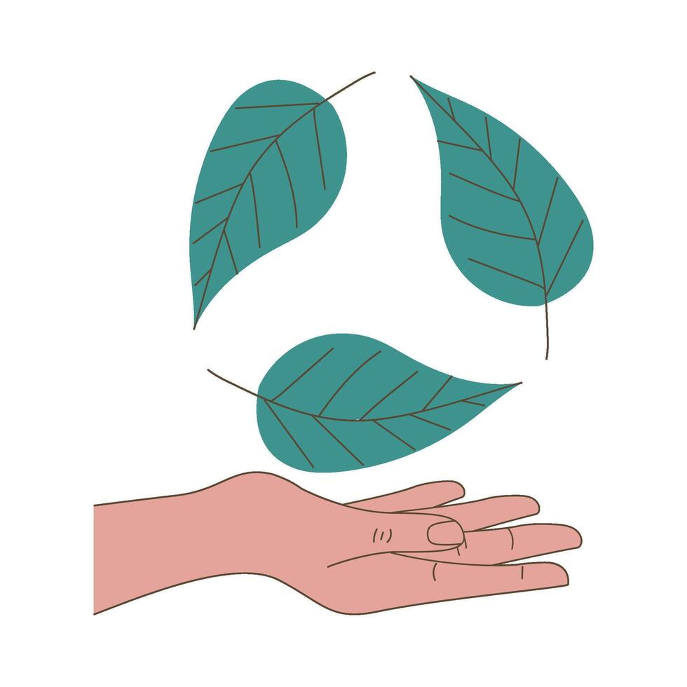 Hand holding a fresh green leaves over white vector