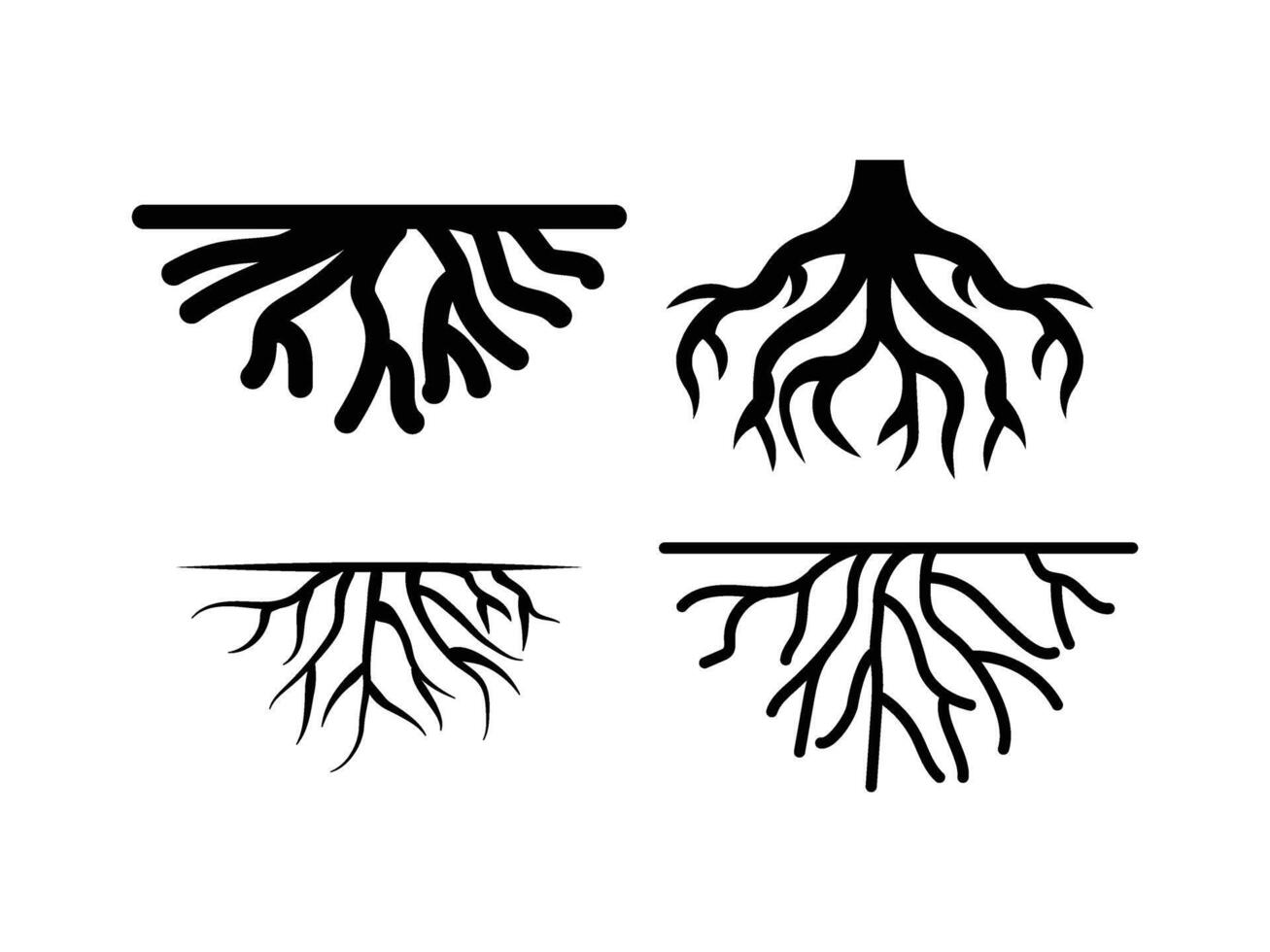 Roots of plants illustration vector