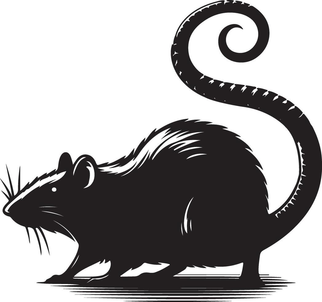 Rat silhouette isolated in white background. vector