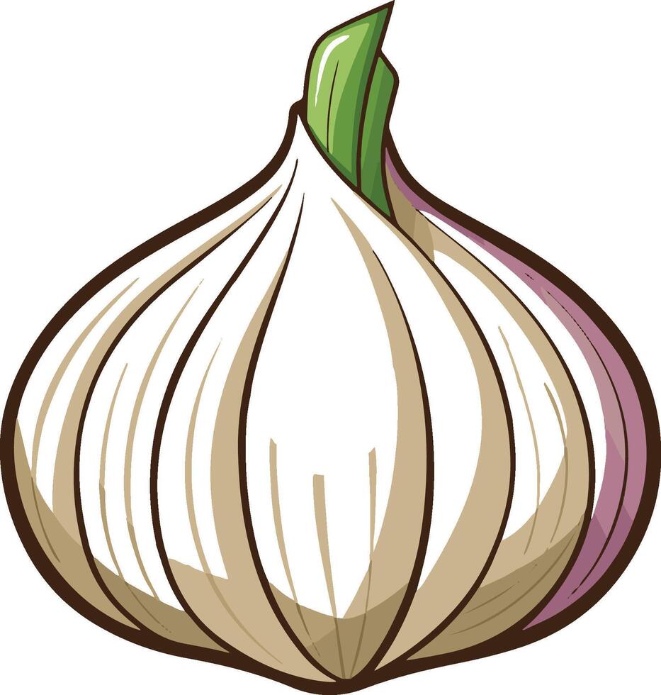 a garlic bulb on a white background vector