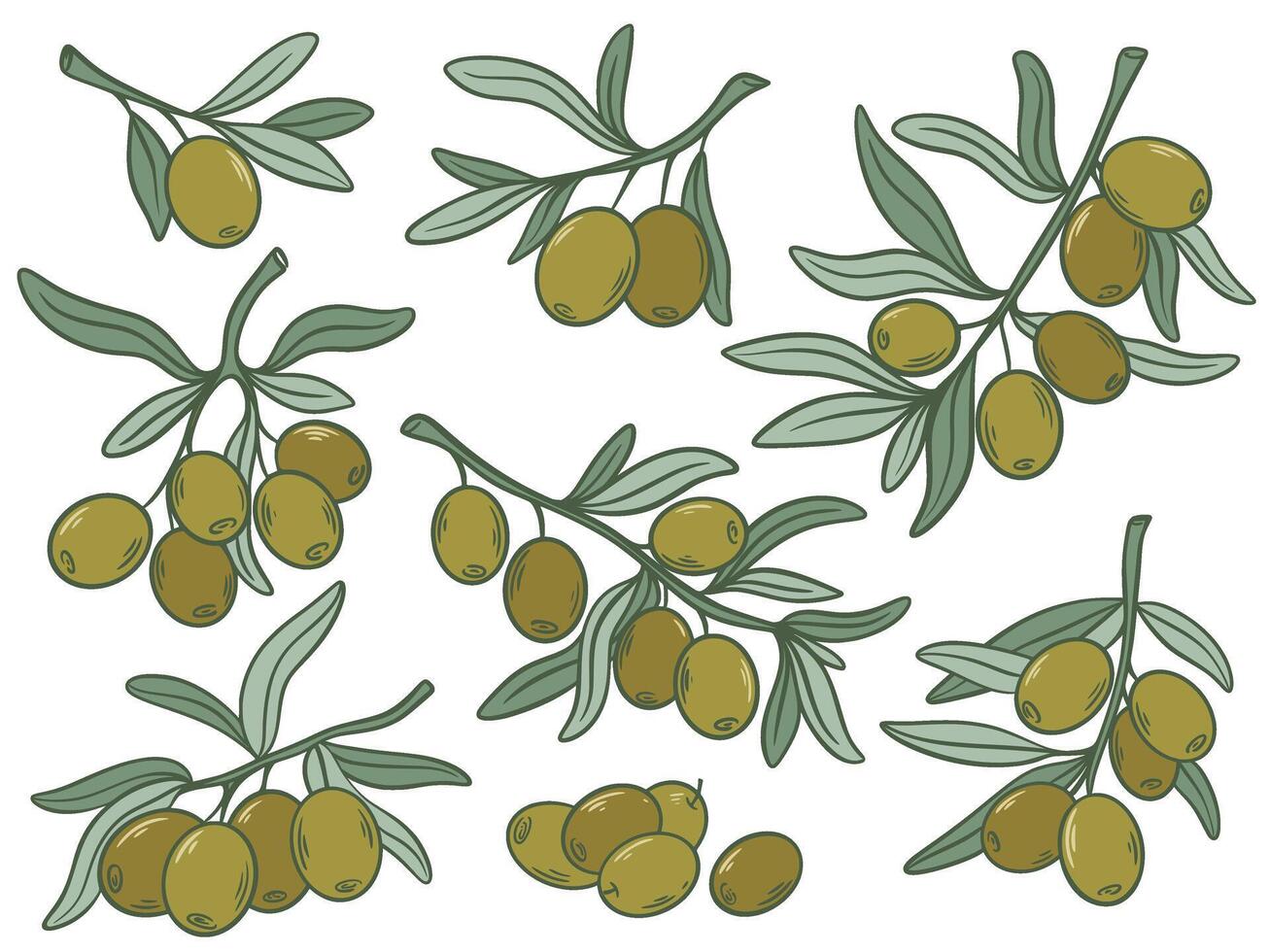Ripe green olives hand drawn color set vector