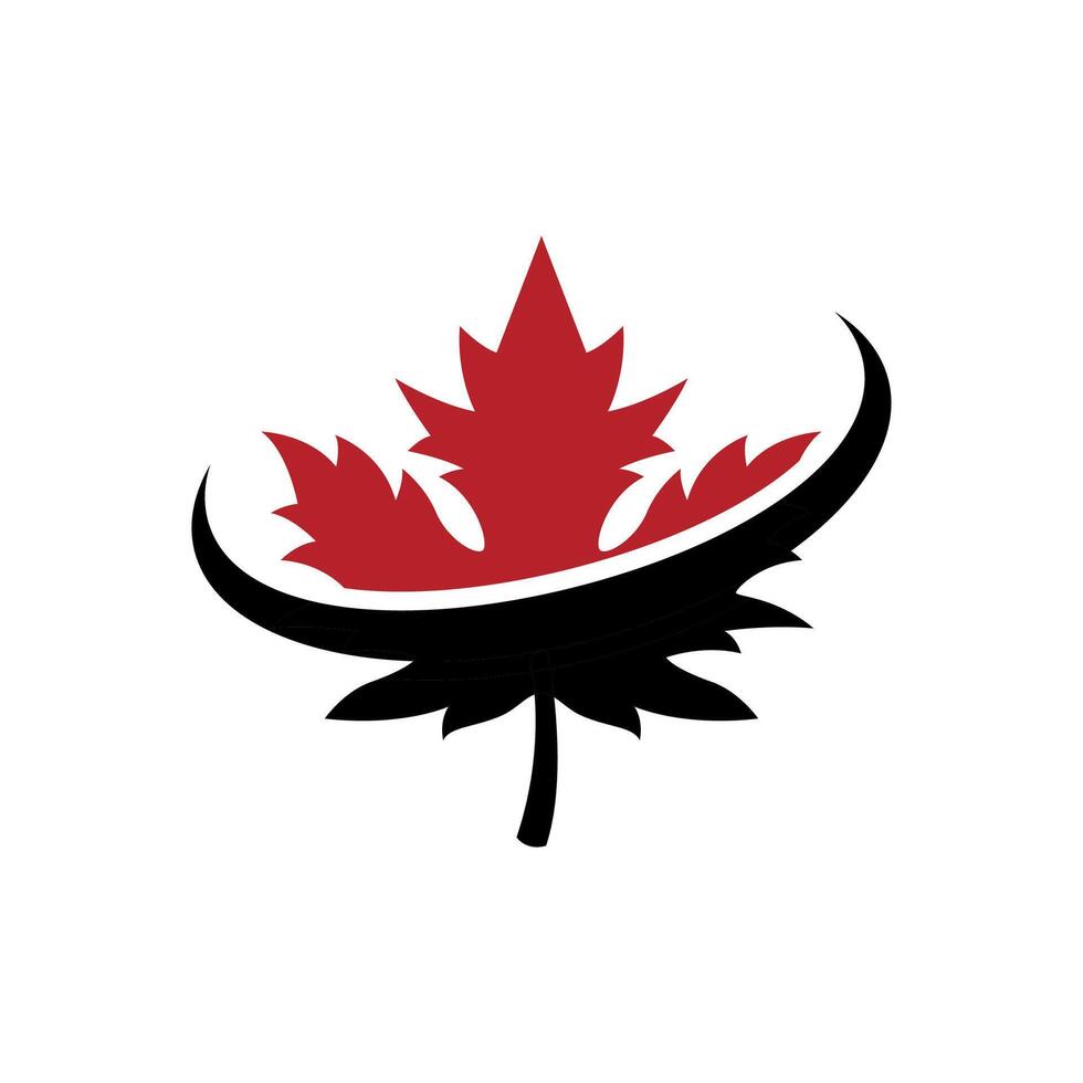 Canada maple leaf logo design vector