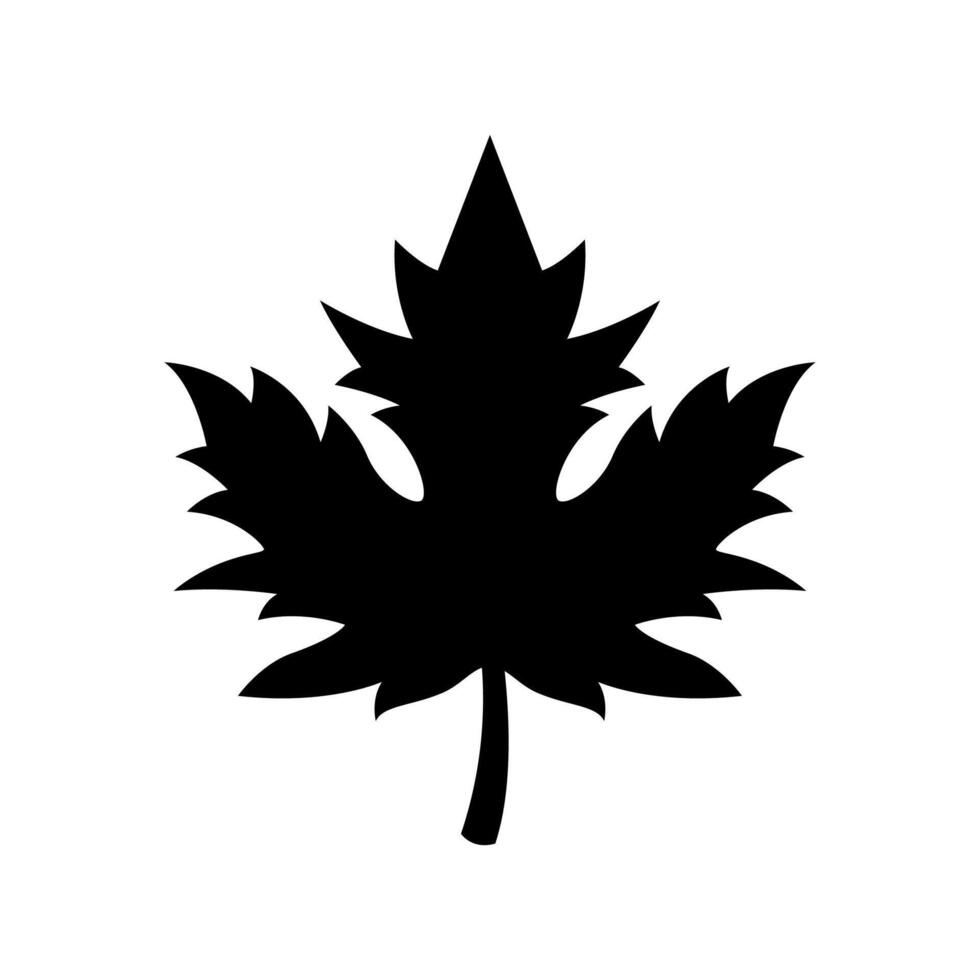 A black and white maple leaf icon on a white background vector