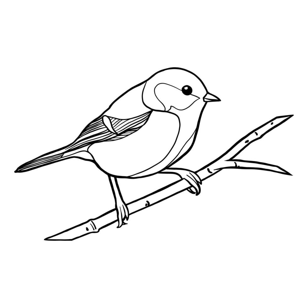 Small Tit Bird Sitting on a Tree Branch Illustration vector
