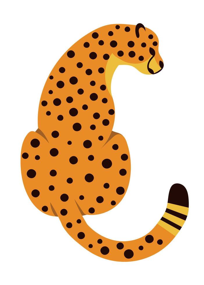 Sitting Cheetah or Leopard Cartoon Illustration, View back vector