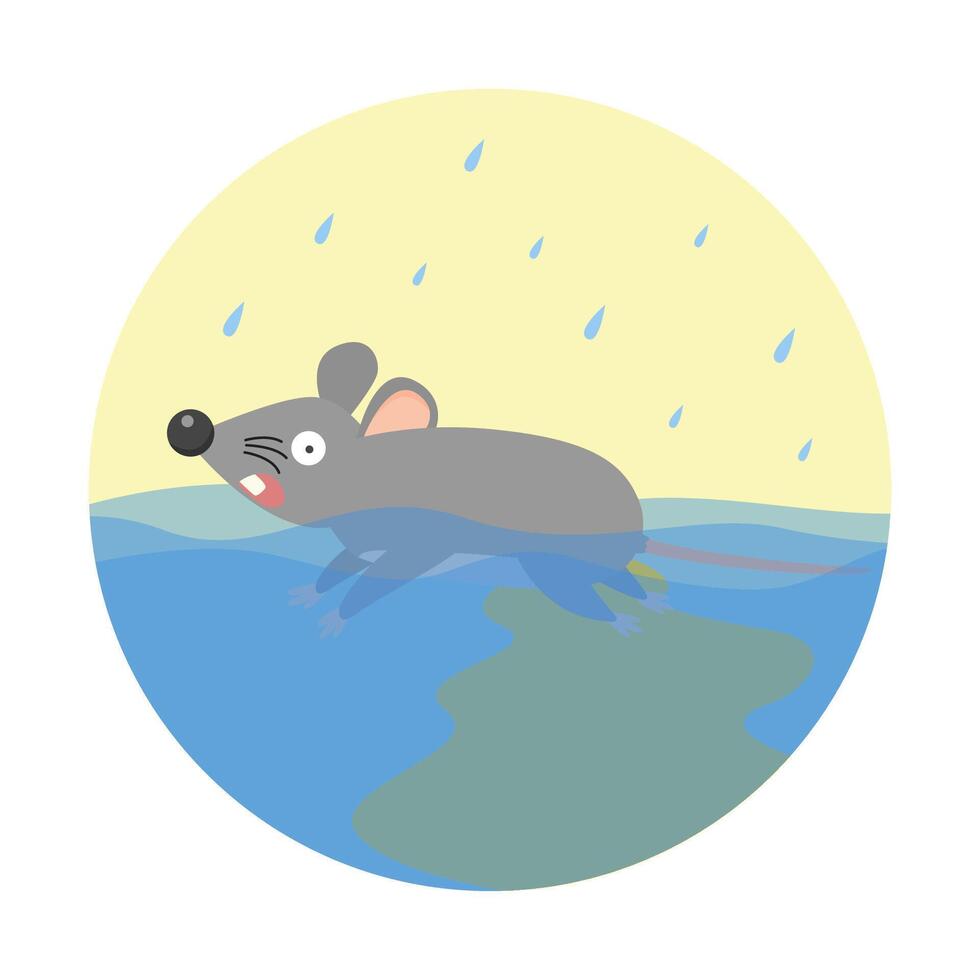 leptospirosis infection disease from leptospira bacteria in rat urine vector