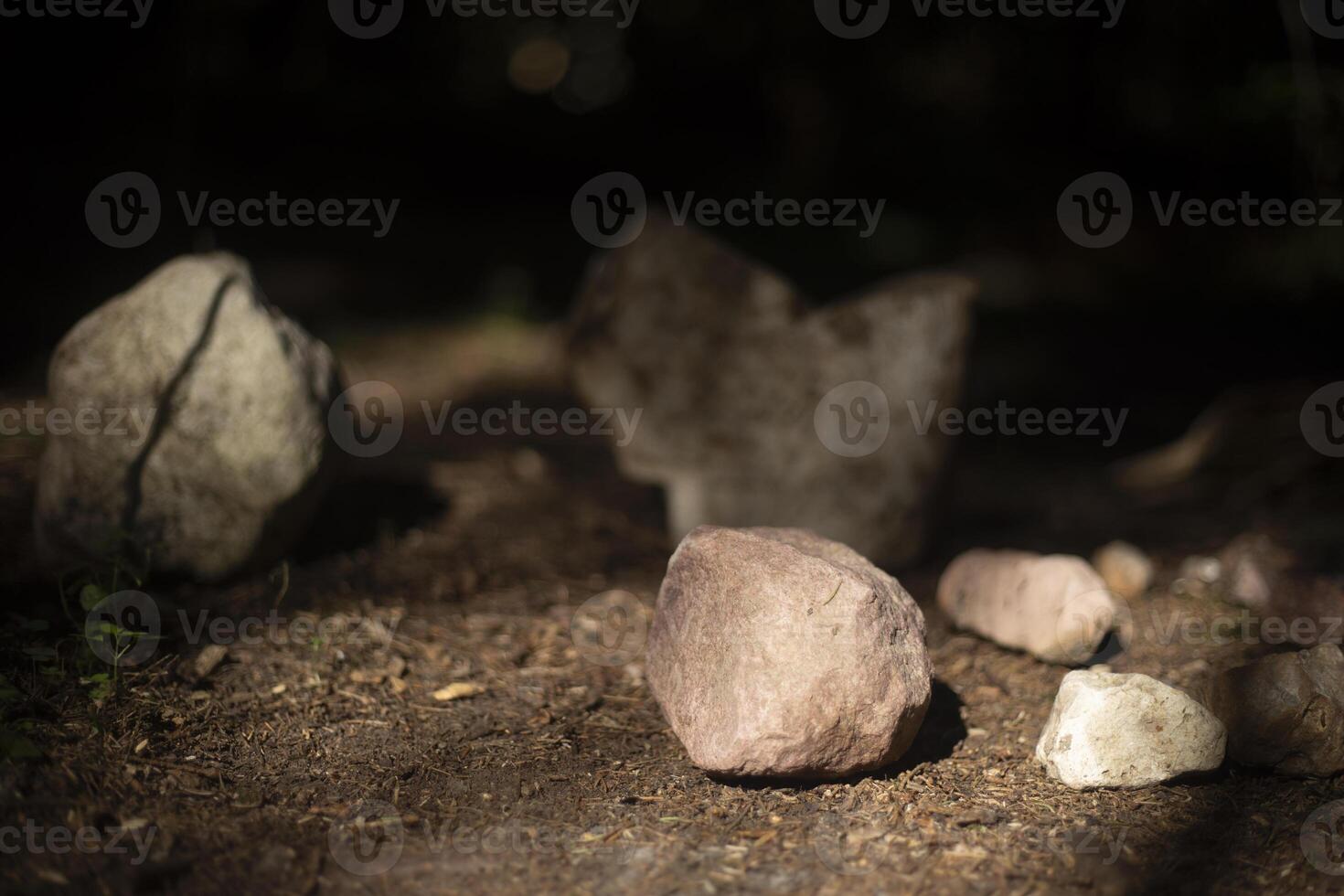 Stones in the forest. Beautiful stones standing on the ground. Natural objects. photo