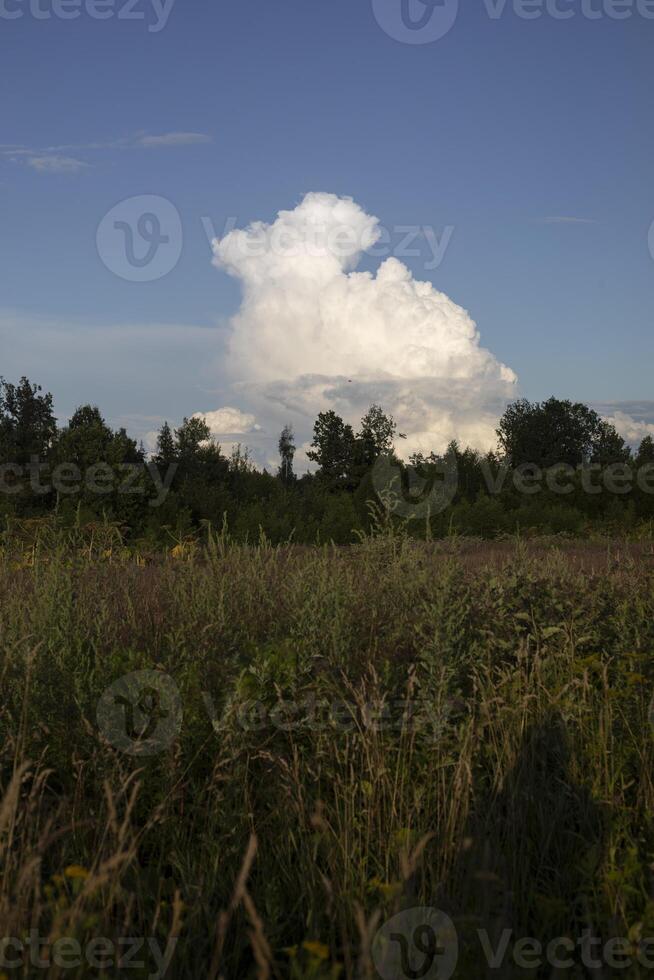 A big cloud in the sky. Cloud over the forest. Landscape with forest. photo