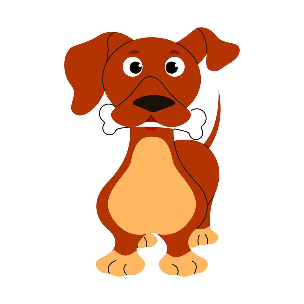 Dachshund dog standing with bone in mouth. Playful puppy in hand drawn style vector
