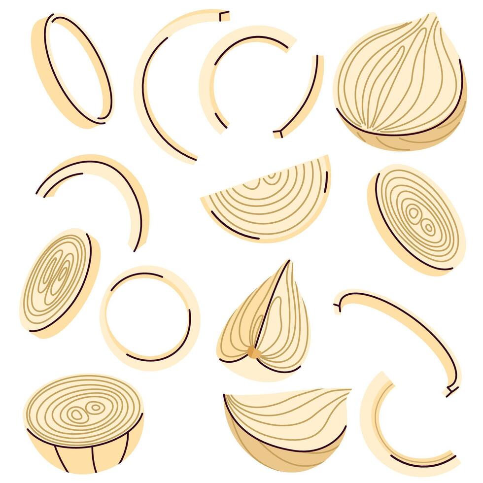 Yellow onion slices, rings, and halved bulbs in a detailed , ideal for cooking packaging vector