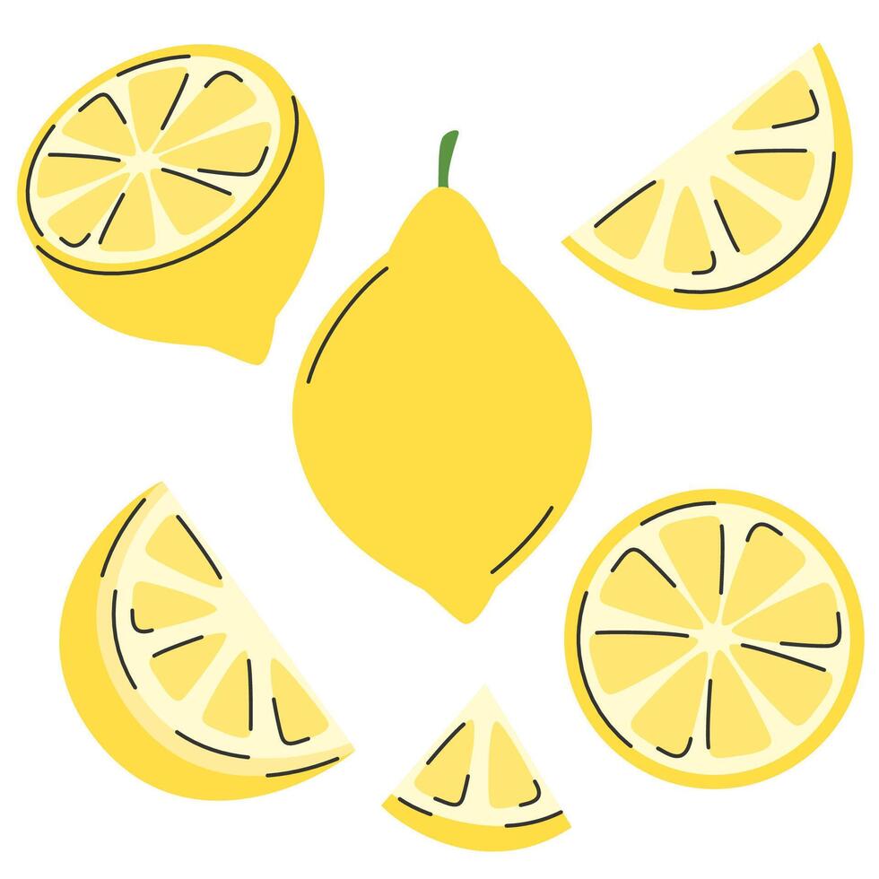Lemon set, whole, half, slice, quarter. Collection of citrus fruit in hand drawn doodle style vector