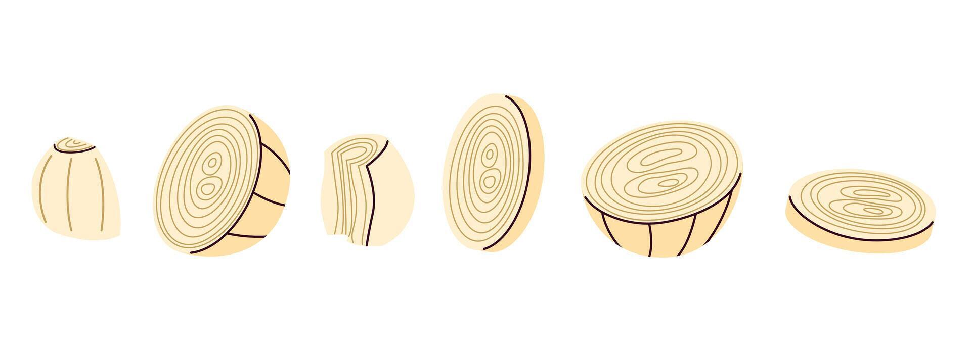 Hand drawn set of sliced onions and cutted or chopped bulbs, great for kitchen and culinary projects vector