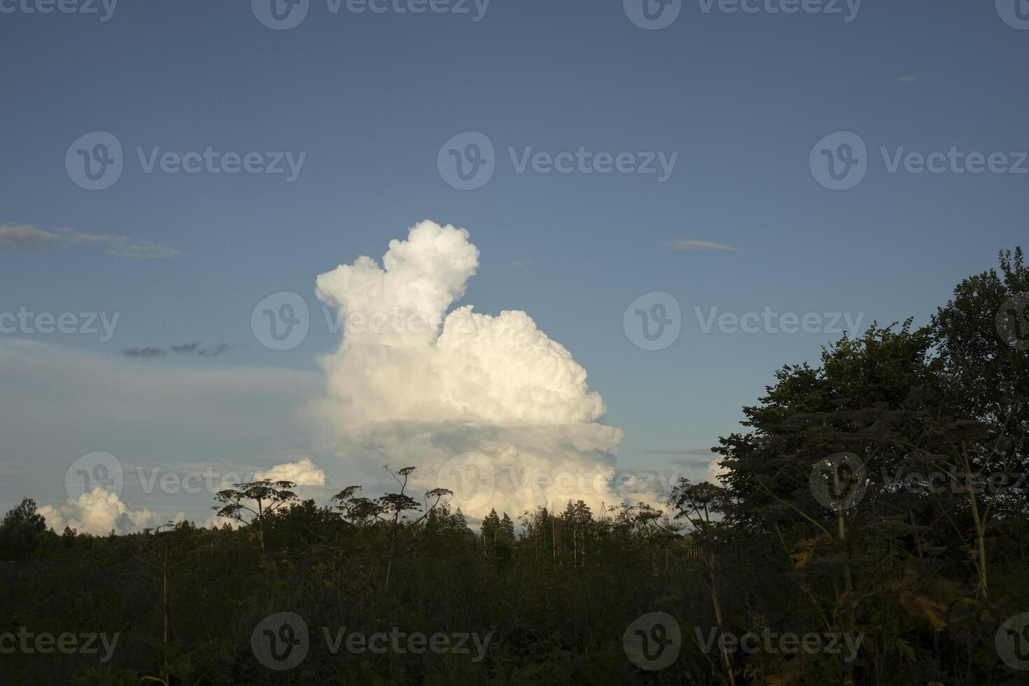 A big cloud in the sky. Cloud over the forest. Landscape with forest. photo
