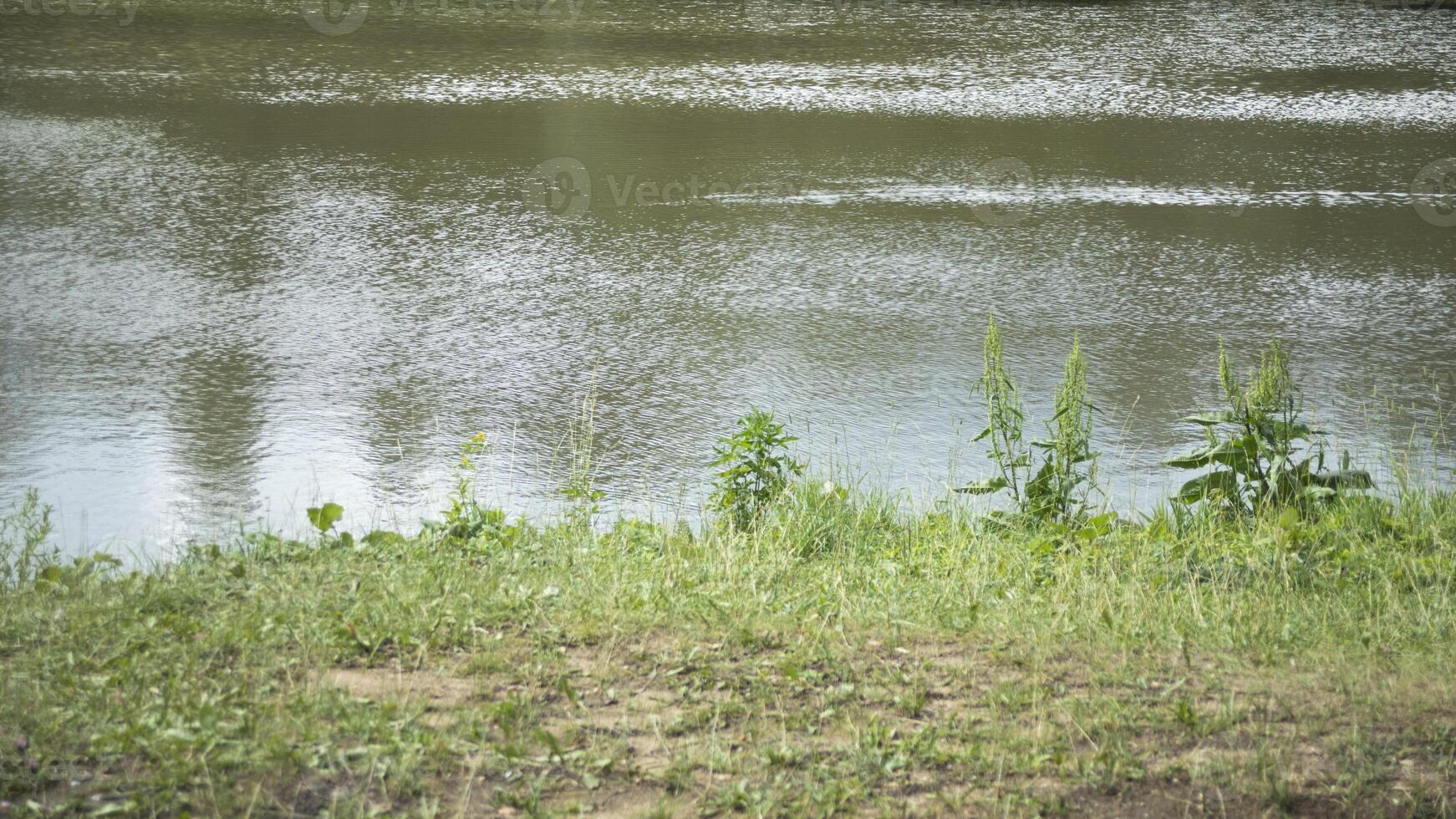 Beautiful pond in summer. Manor pond. A lake in the park. photo