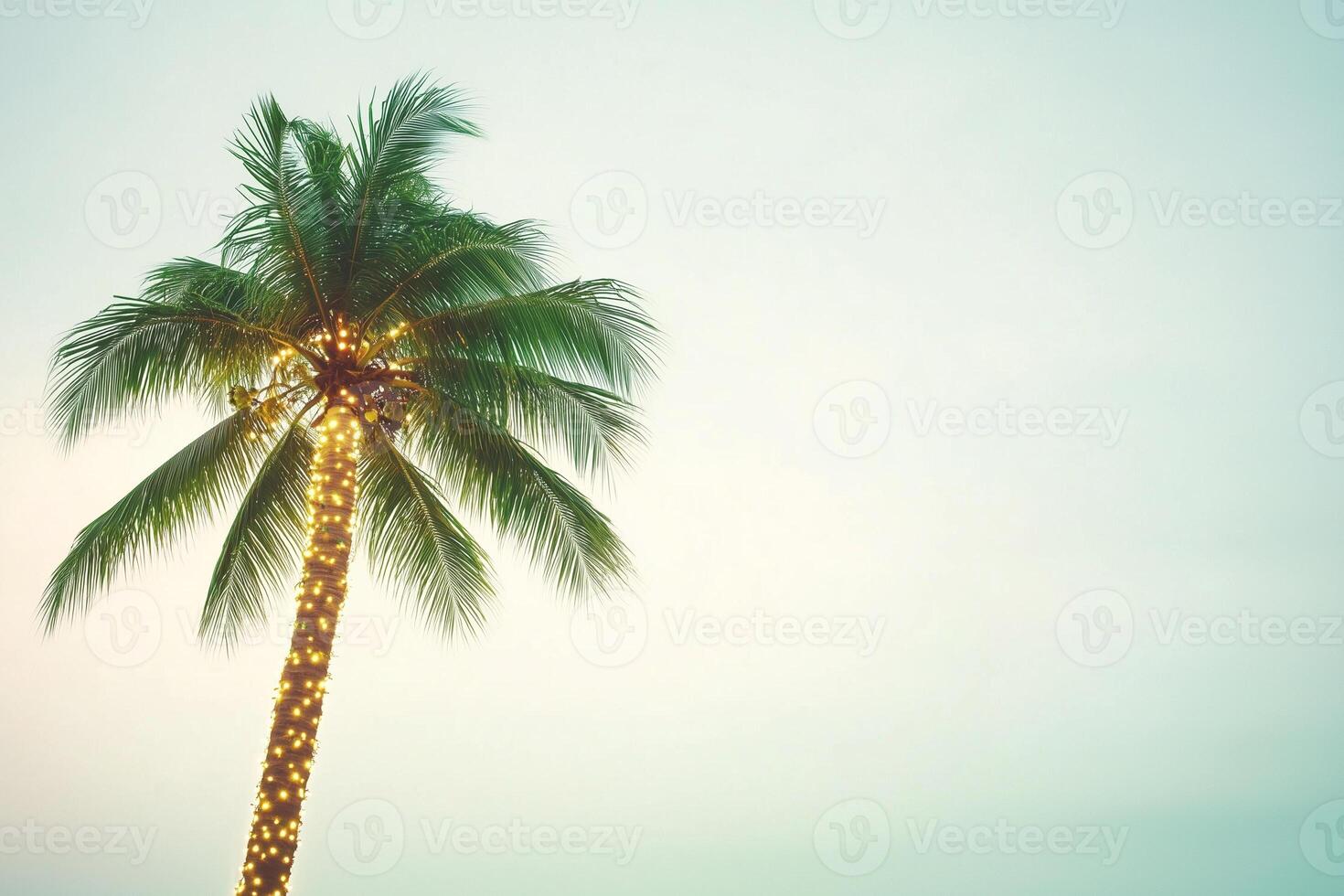 Tropical coconut palm tree illuminated by string lights at dusk Christmas, New Year photo