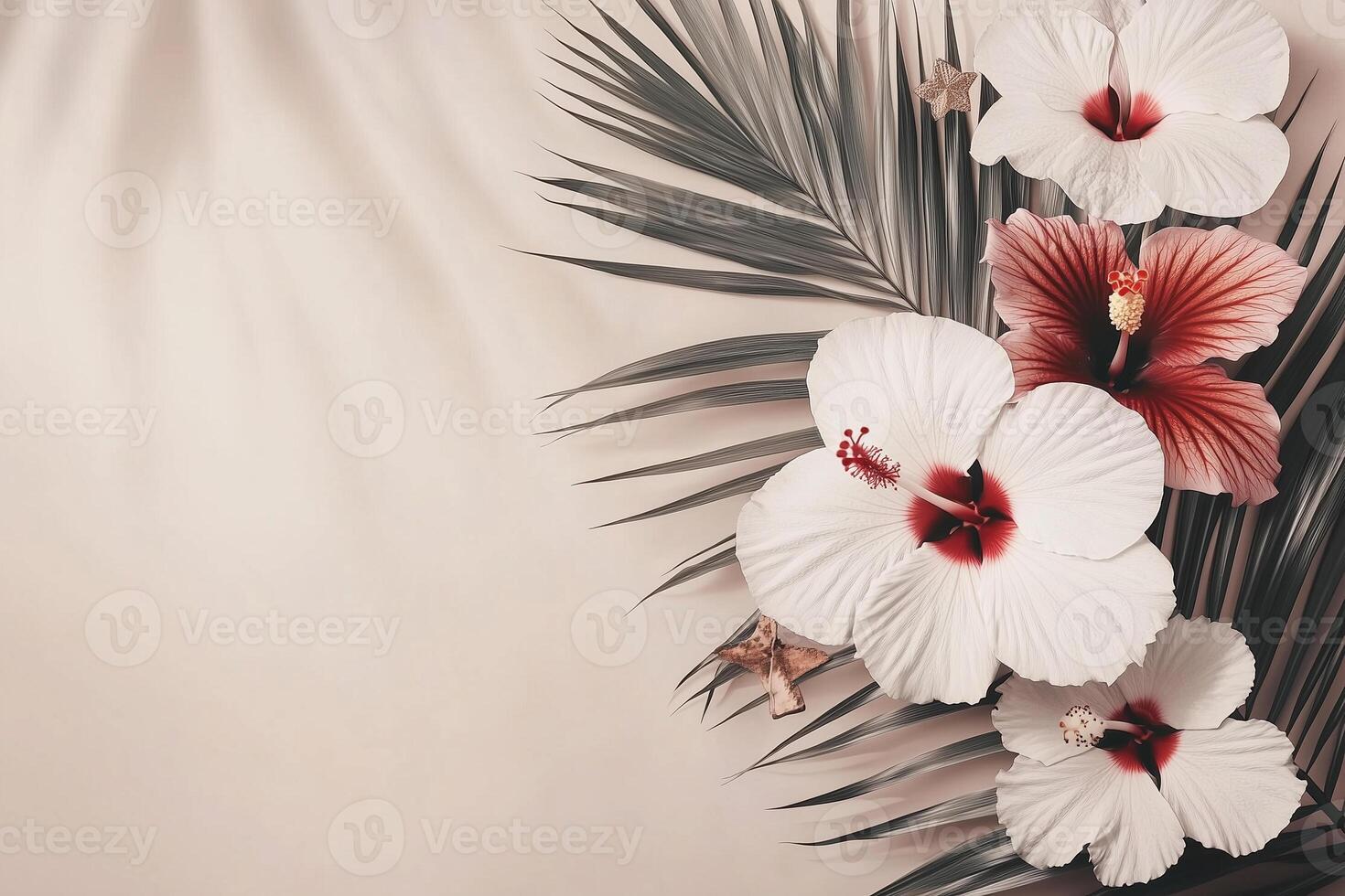 Tropical background with hibiscus flowers and palm tree leaf casting shadow Christmas, New Year photo