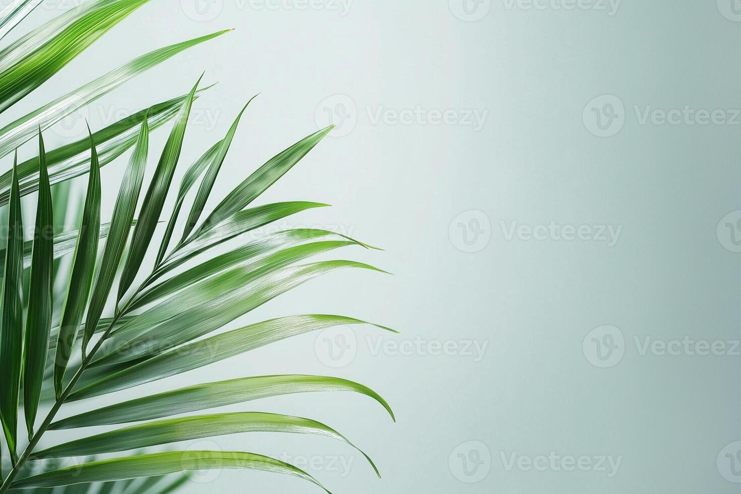 Tropical palm leaf creating tranquil minimalist background on blue symbolism of Sukkot photo