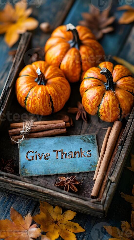 Autumnal Pumpkin Still Life with Cinnamon Sticks and Give Thanks Sign photo
