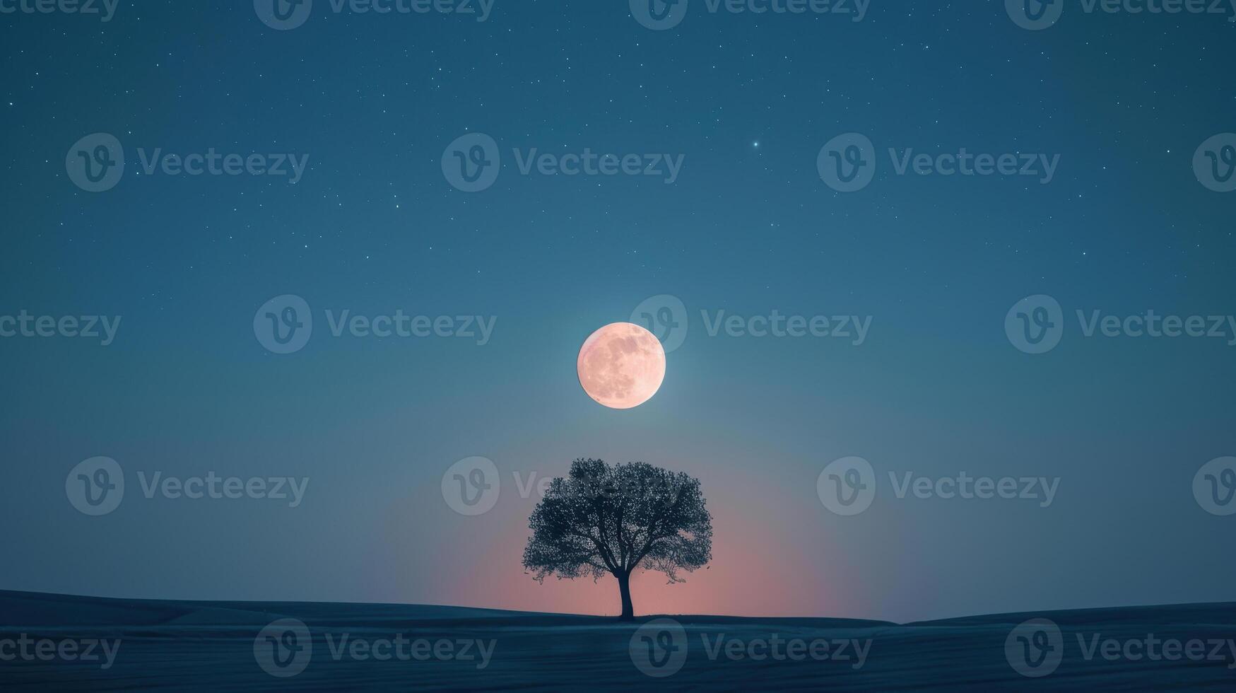 A lone tree in the middle of a field with the moon in the background photo