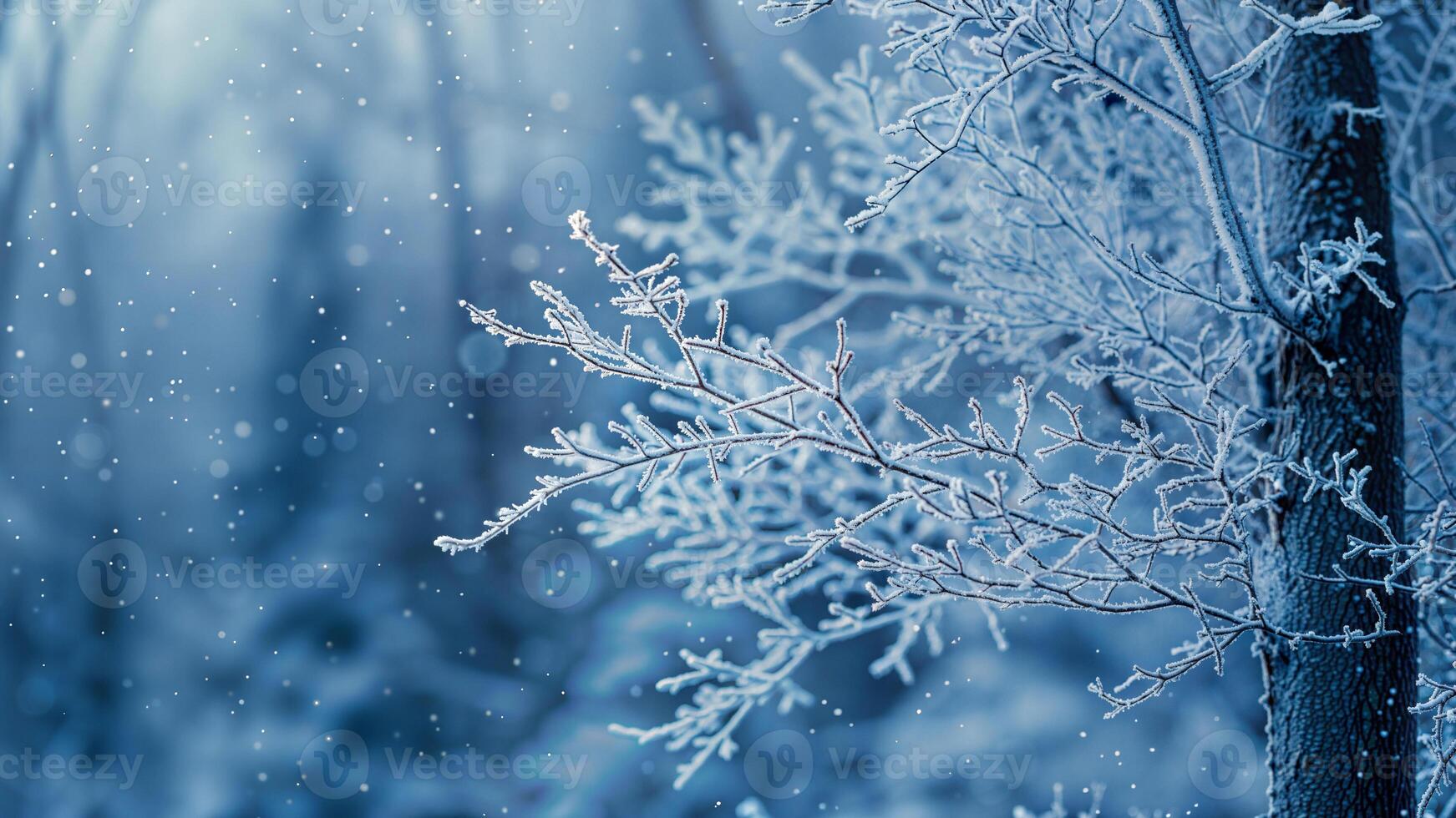 A snowy scene with trees and snow photo