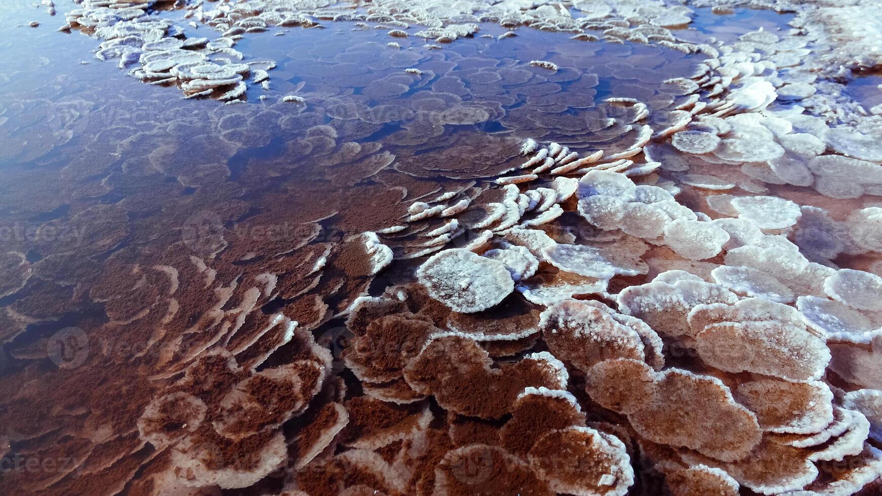 Kuyalnik estuary, Black Sea. Table salt in the form of round pancakes at the bottom and the bank of the estuary. Table salt crystals photo