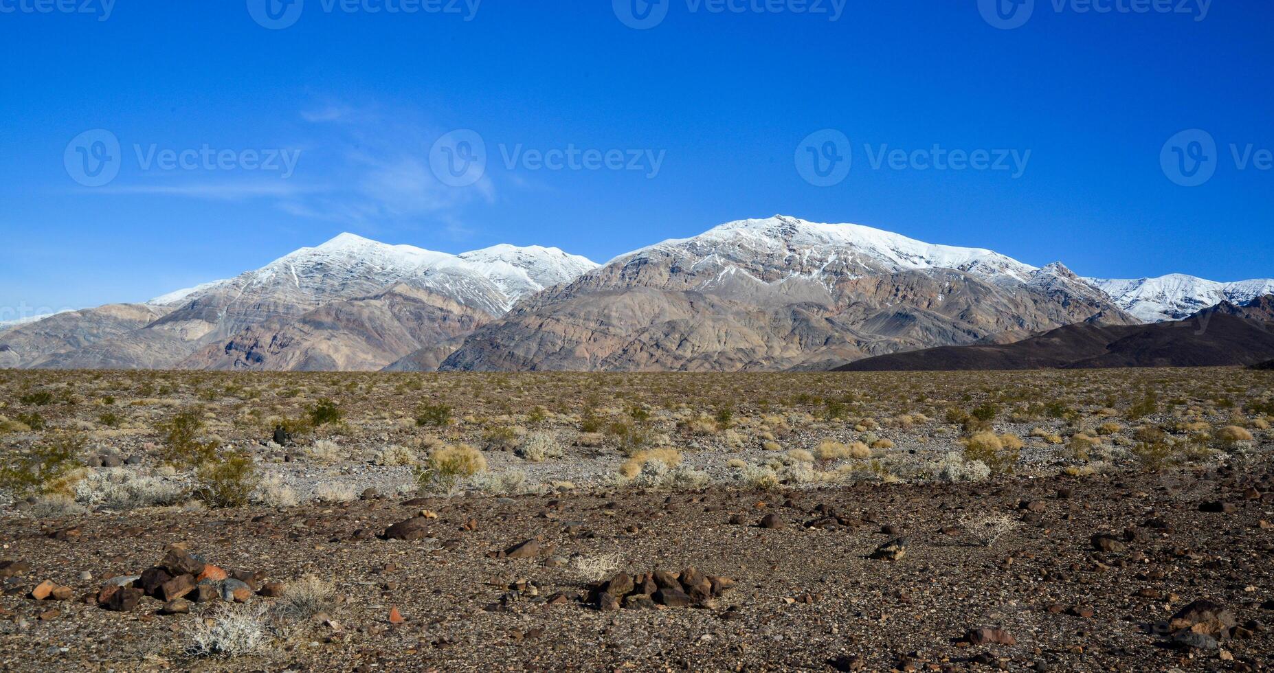 Landscape of a valley overgrown with desert vegetation and cacti in the rock desert in California, mountains in the background photo