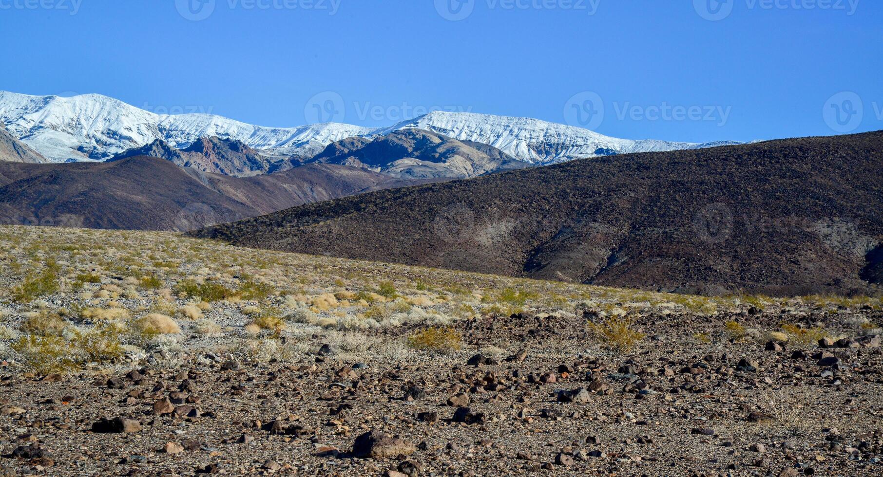 Landscape of a valley overgrown with desert vegetation and cacti in the rock desert in California, mountains in the background photo