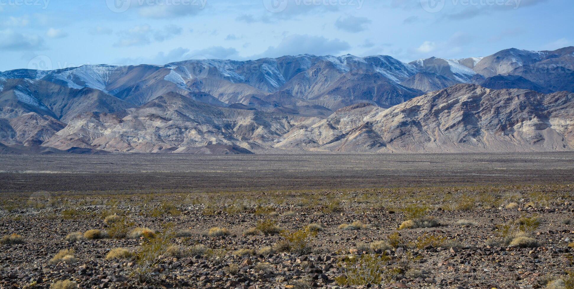 Landscape of a valley overgrown with desert vegetation and cacti in the rock desert in California, mountains in the background photo