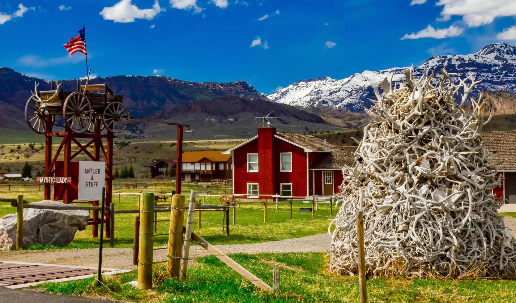 USA, Montana, 27 Apr. 2018 The horns of deer horns in which birds live, the US flag fluttering in the wind photo