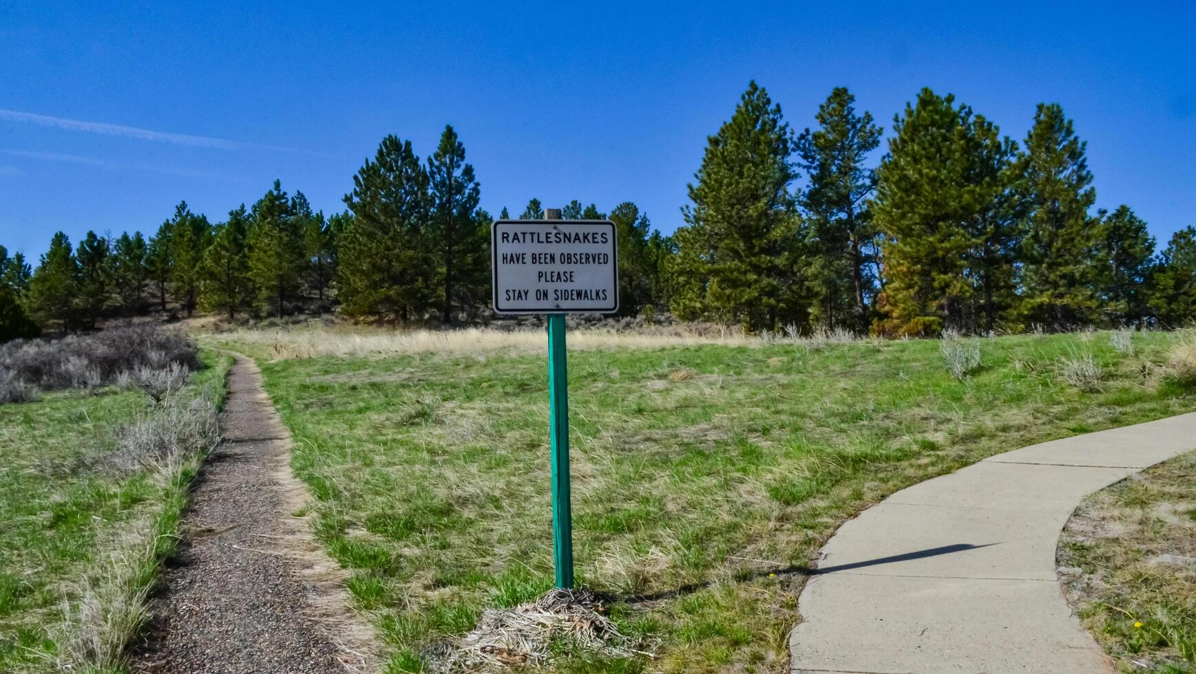 USA, MONTANA - APRIL 28, 2018 Wildlife trails near a recreation area near the highway in Montana, USA photo