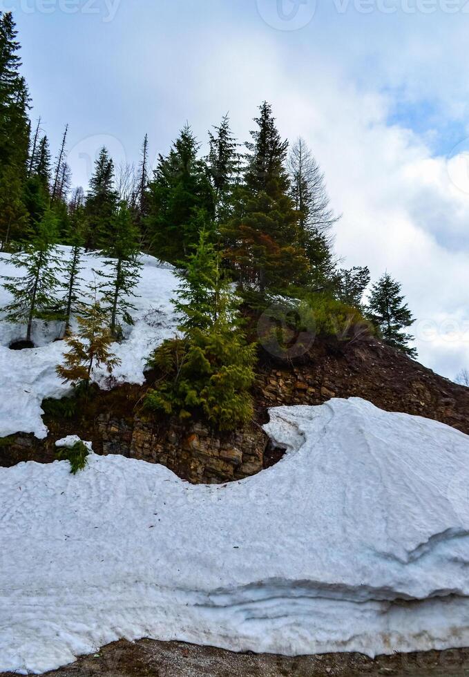Snow in the mountains at the end of winter, snow melting in the mountains. Mountain landscape. photo