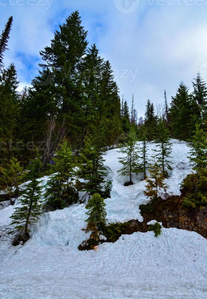 Snow in the mountains at the end of winter, snow melting in the mountains. Mountain landscape. photo