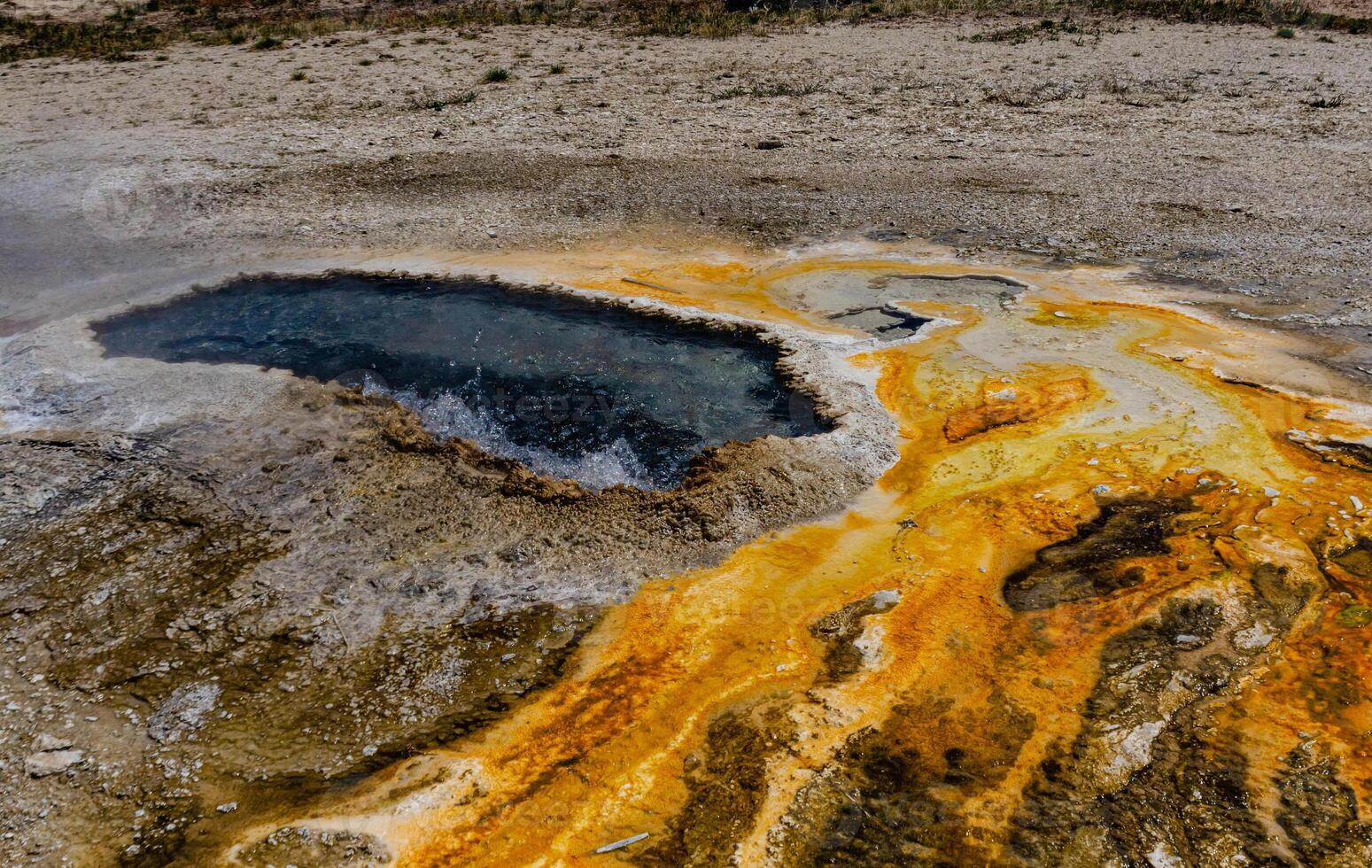 Algae-bacterial mats. Hot thermal spring, hot pool in the Yellowstone NP photo