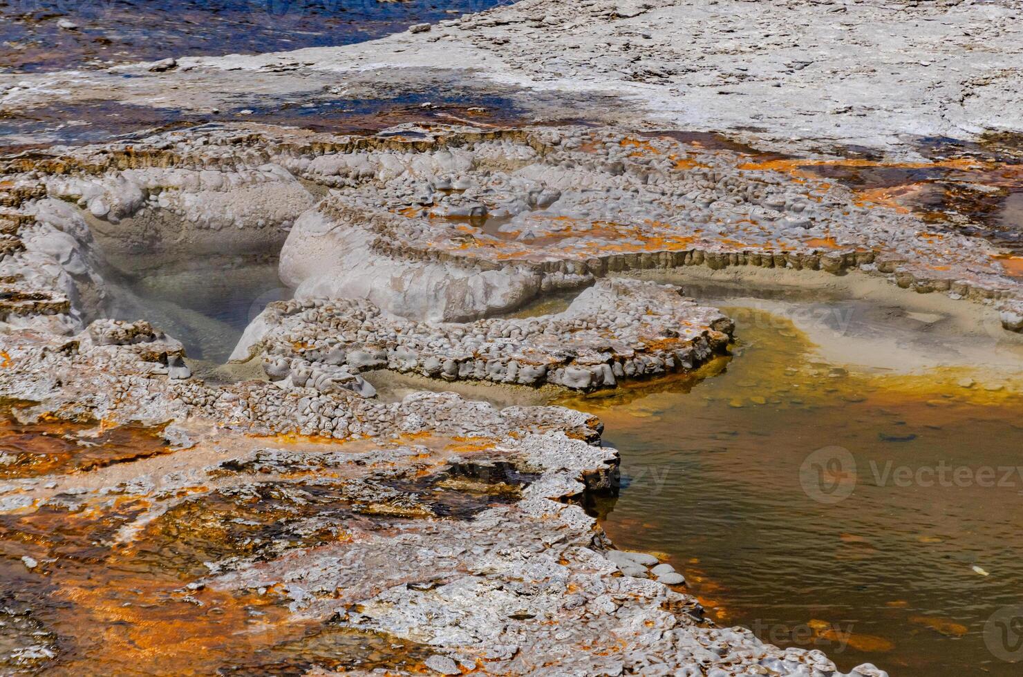 Boiling water bubbler Geyser. Active geyser with major eruptions. Yellowstone NP, Wyoming, US photo
