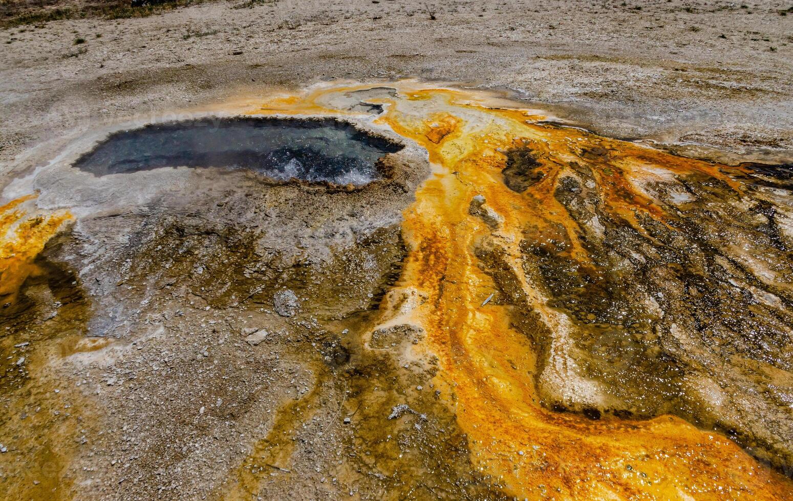 Algae-bacterial mats. Hot thermal spring, hot pool in the Yellowstone NP photo