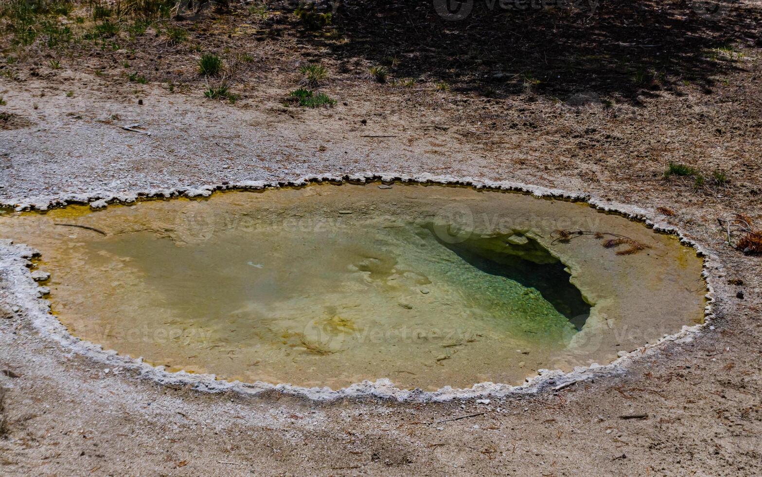 Boiling water bubbler Geyser. Active geyser with major eruptions. Yellowstone NP, Wyoming, US photo