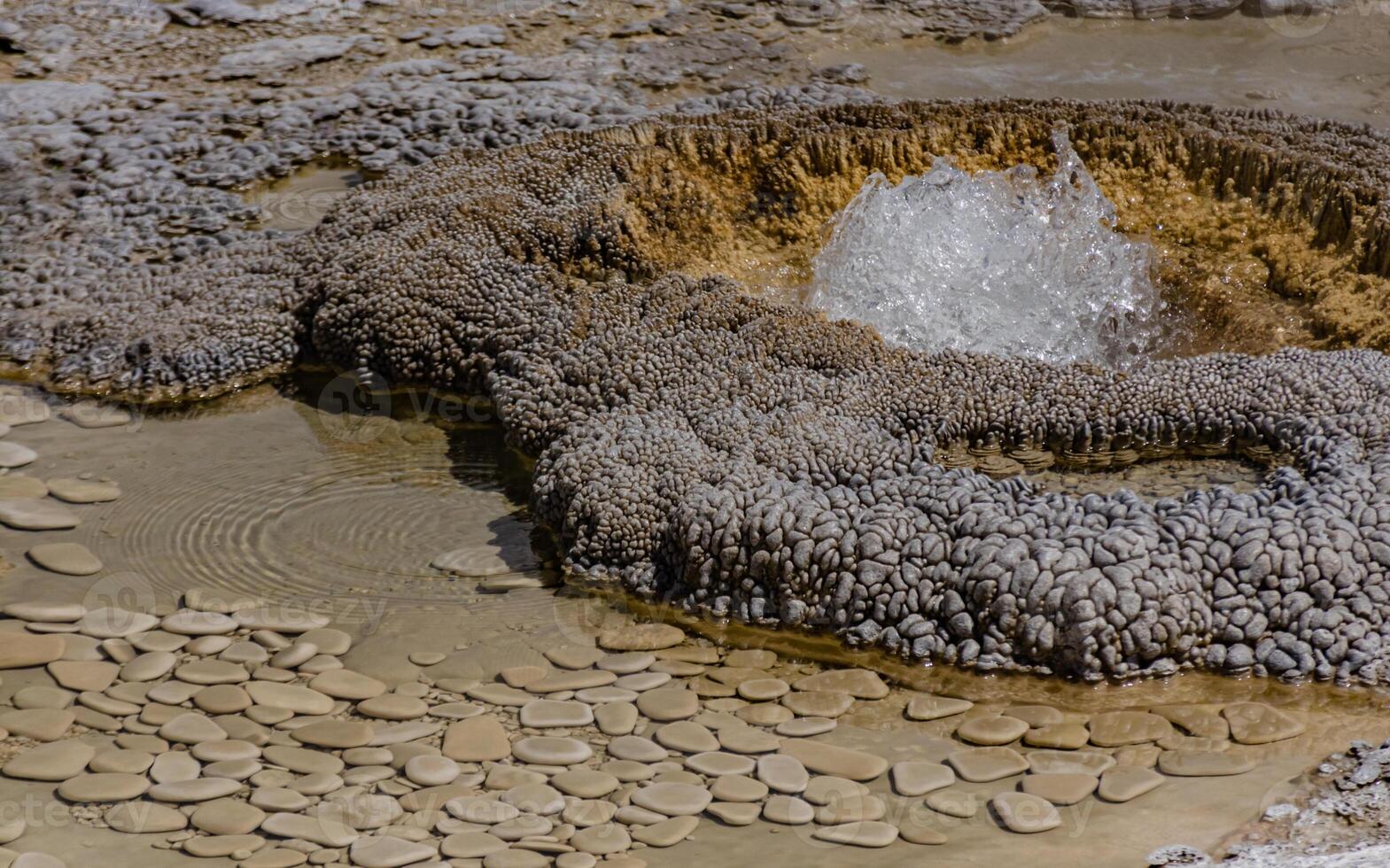 Boiling water bubbler Geyser. Active geyser with major eruptions. Yellowstone NP, Wyoming, US photo