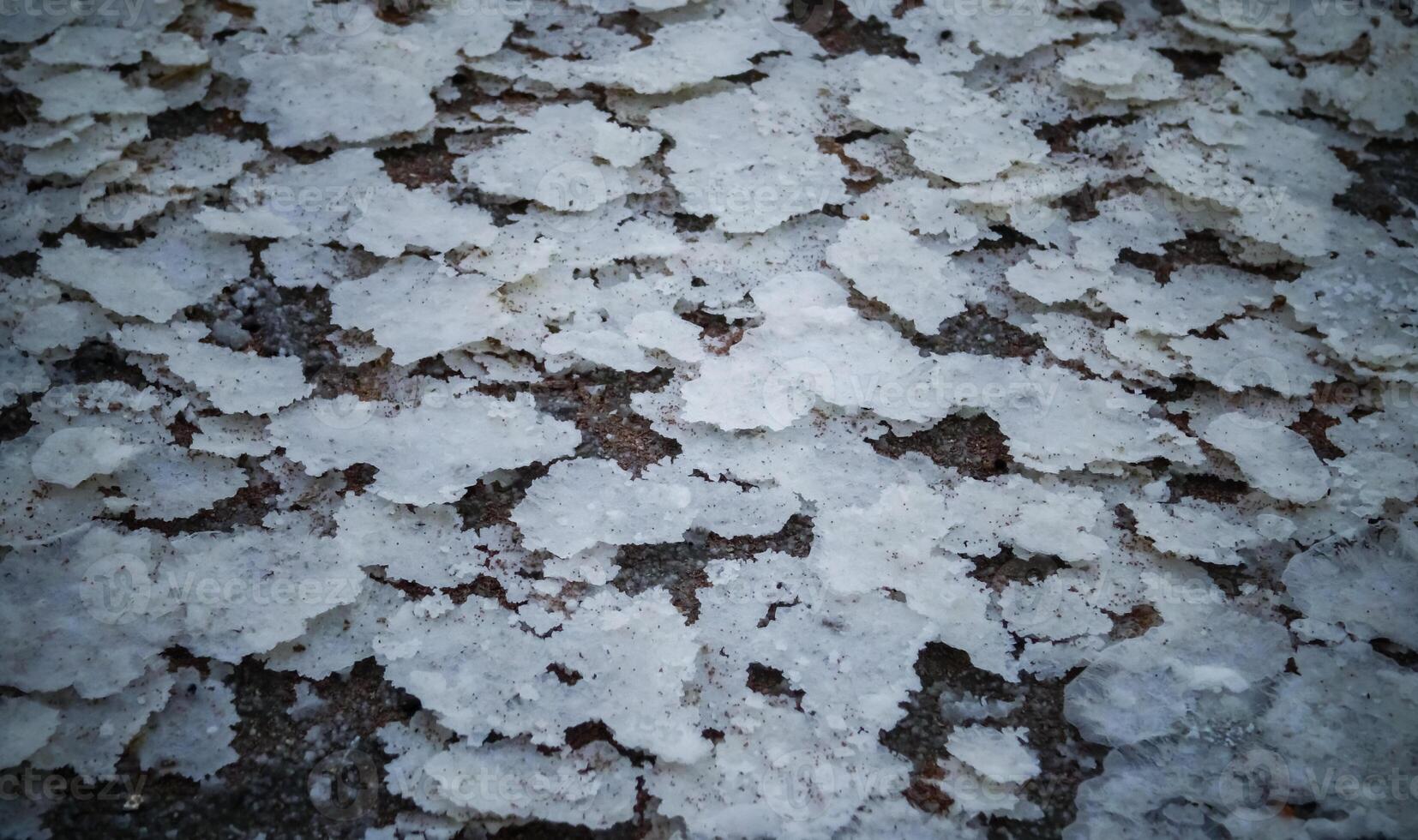 Crystals of self-sedimentary table salt on the shore photo