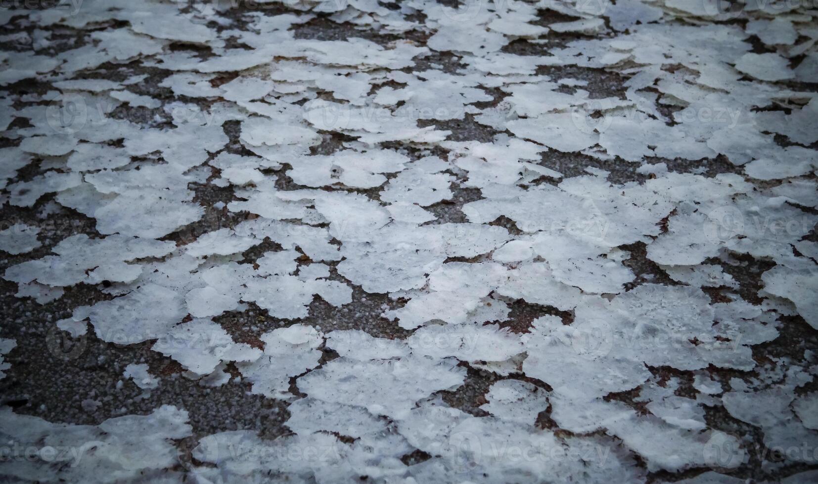 Crystals of self-sedimentary table salt on the shore photo