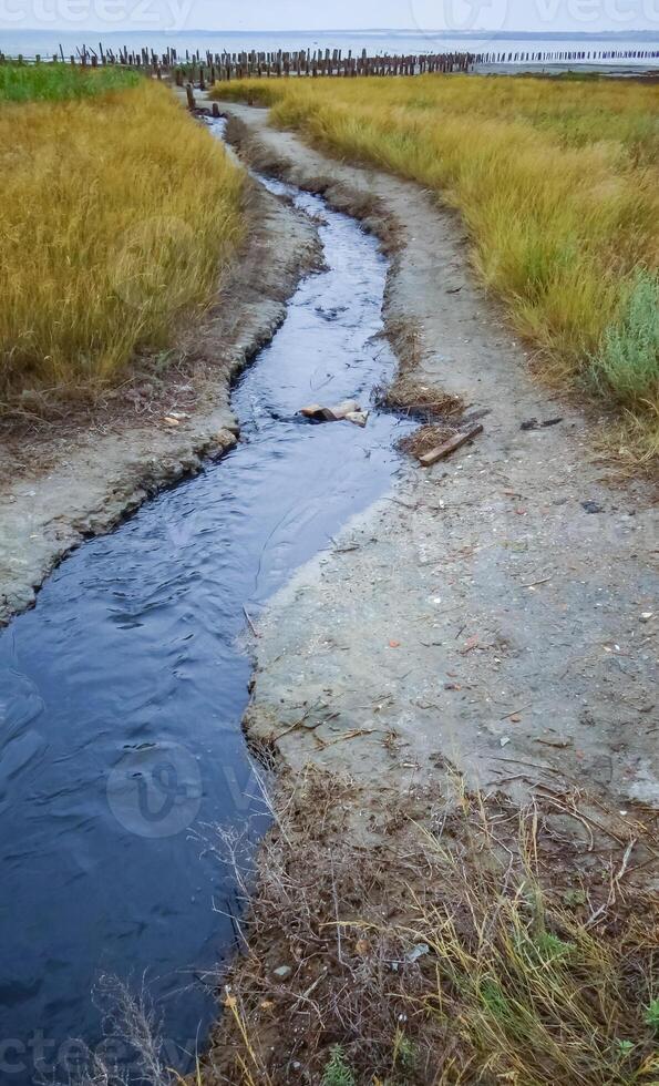 From the Kuyalnik sanatorium flows out black water with curative liman mud. Kuyalnik estuary photo