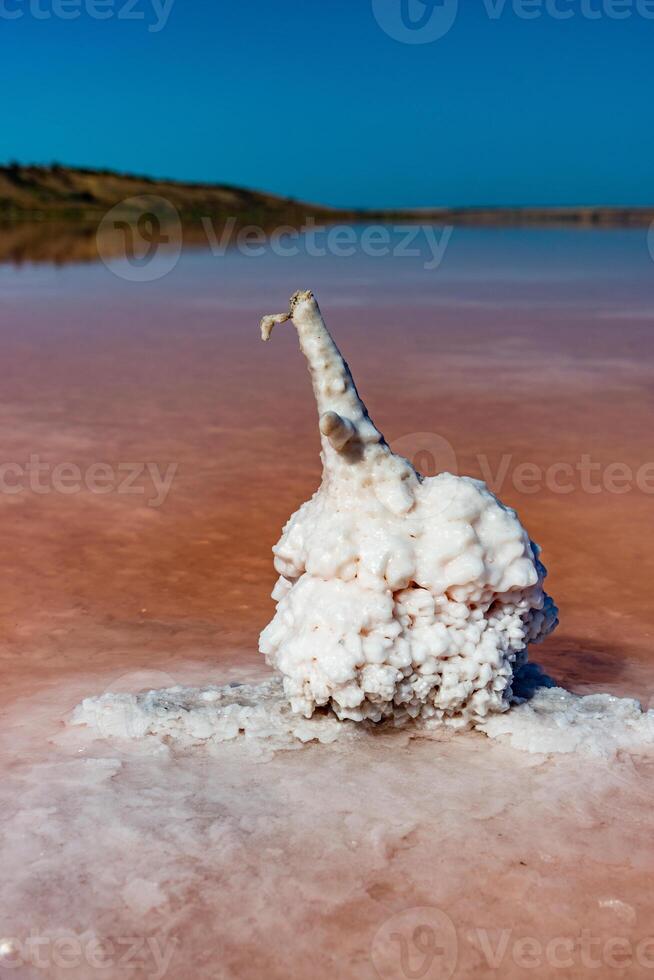 Salt Lake. Self-settling salt on wooden logs. Hypersaline water in a drying lake photo