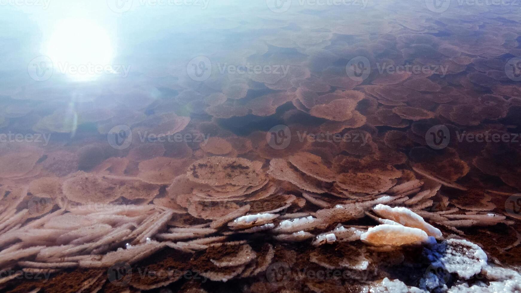 Kuyalnik estuary, Black Sea. Table salt in the form of round pancakes at the bottom and the bank of the estuary. Table salt crystals photo