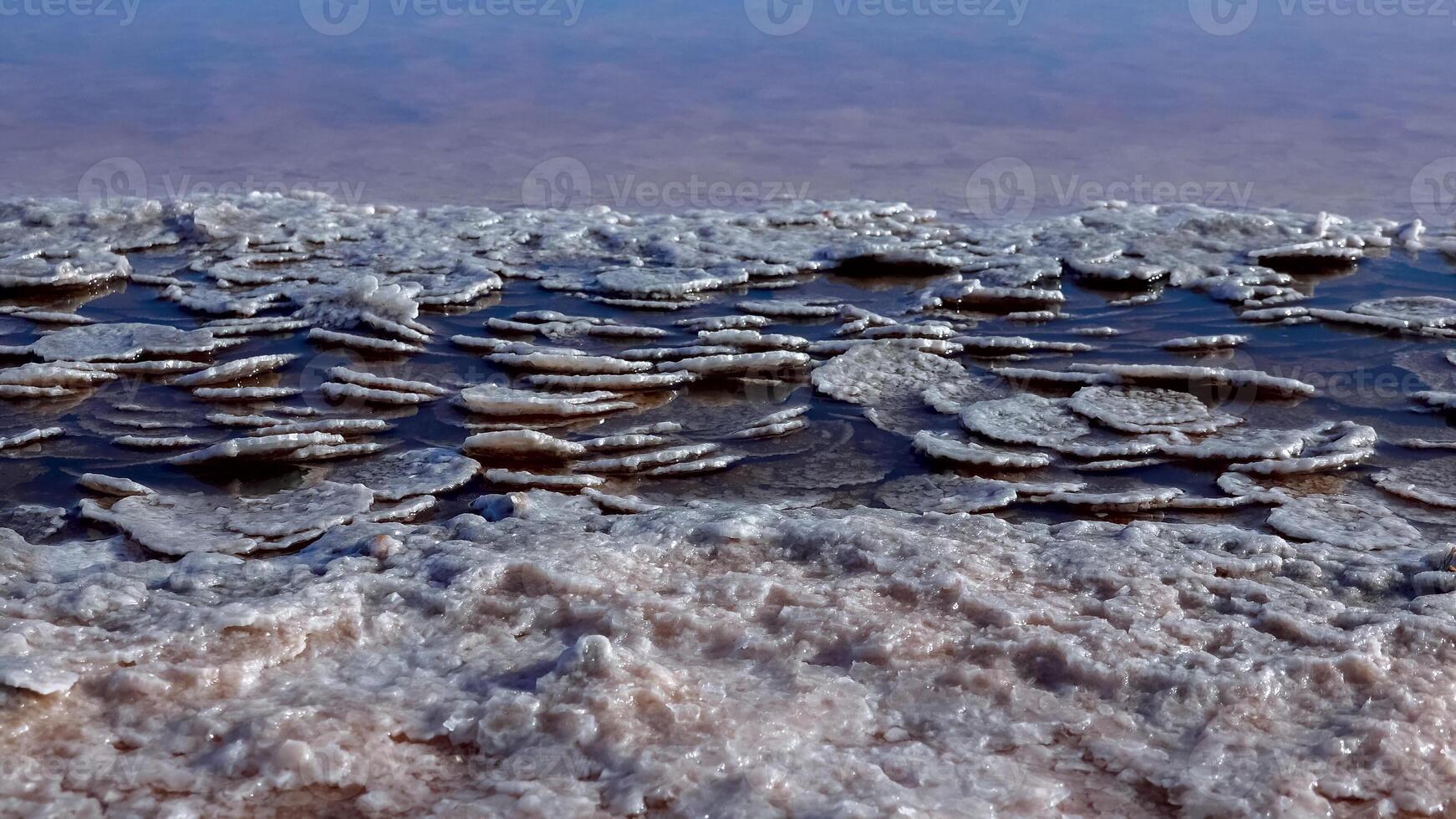 Kuyalnik estuary, Black Sea. Table salt in the form of round pancakes at the bottom and the bank of the estuary. Table salt crystals photo