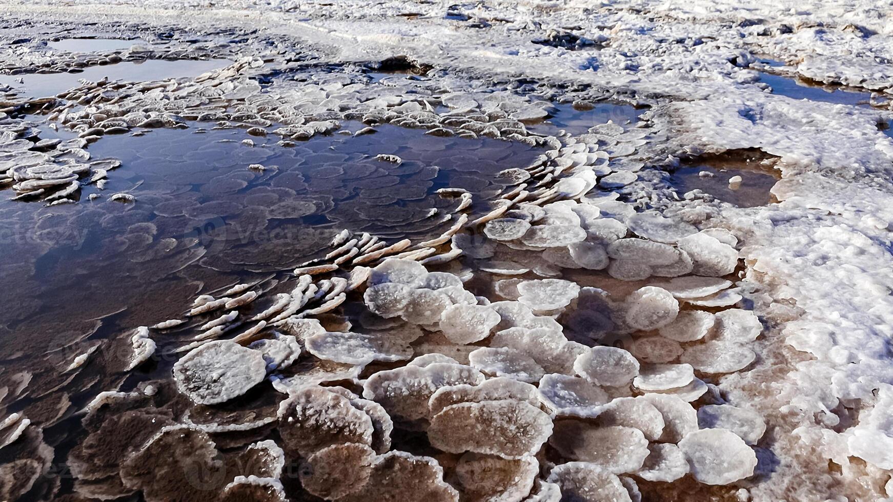 Kuyalnik estuary, Black Sea. Table salt in the form of round pancakes at the bottom and the bank of the estuary. Table salt crystals photo