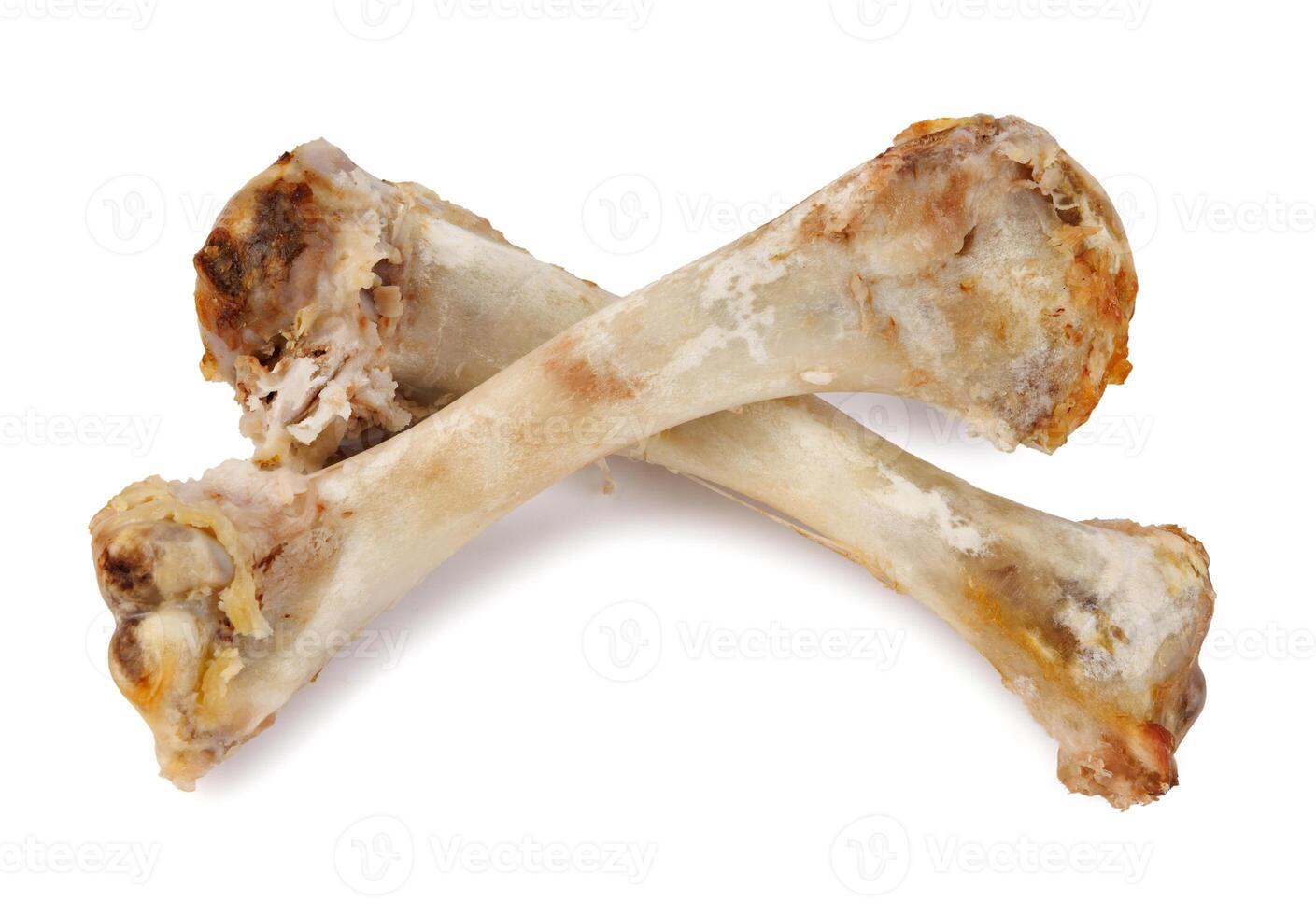 Two turkey bones isolated on a white background. Turkey wing bone. photo