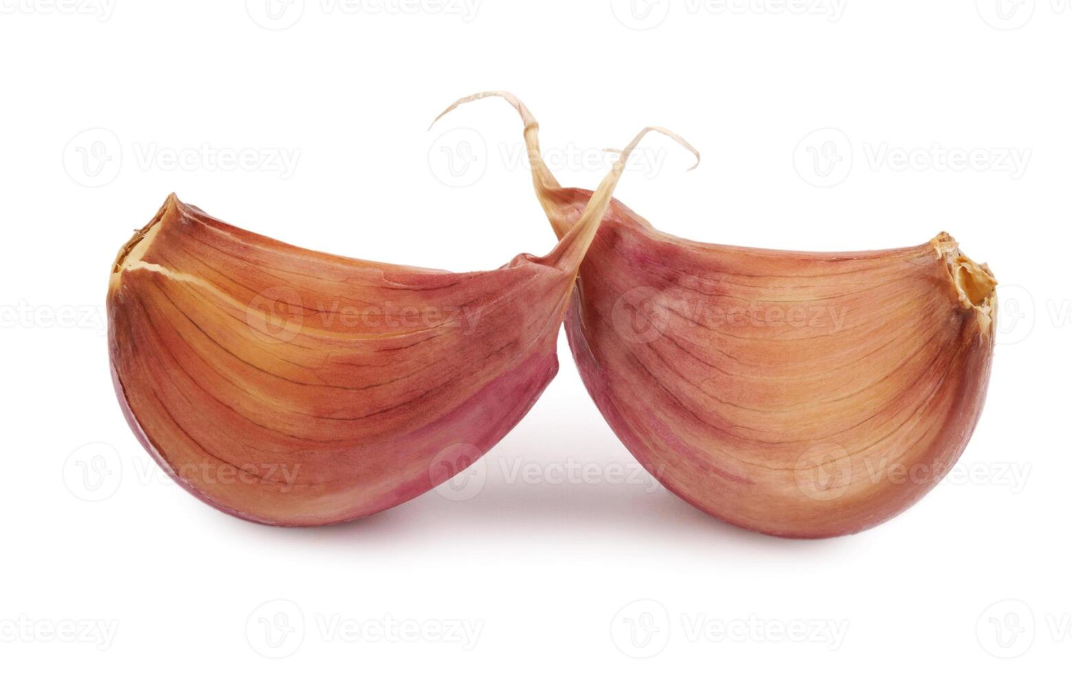 Two cloves of garlic isolated on a white background. Garlic cloves on white. photo