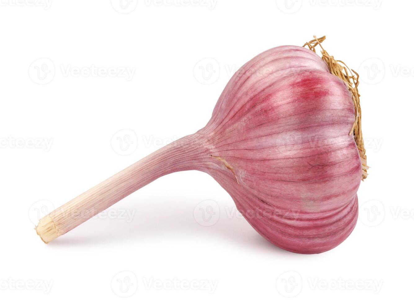 Garlic bulb isolated on white background. Unpeeled garlic bulb .Full clipping path. photo