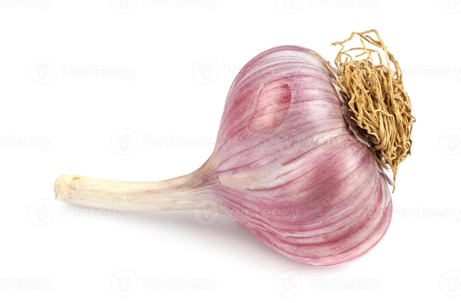 Garlic bulb isolated on white background. Unpeeled garlic bulb .Full clipping path. photo