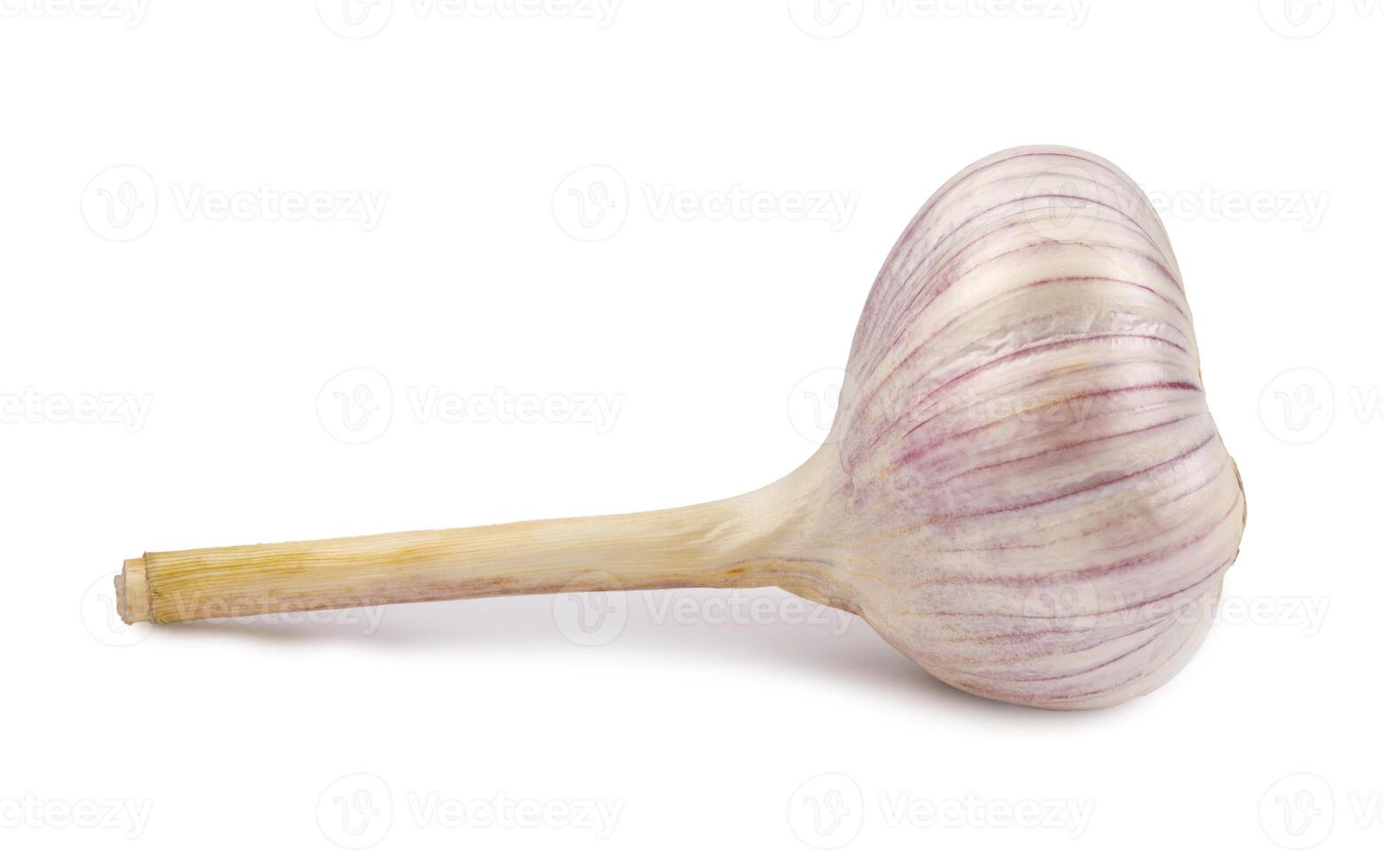 Garlic bulb isolated on white background. Unpeeled garlic bulb .Full clipping path. photo