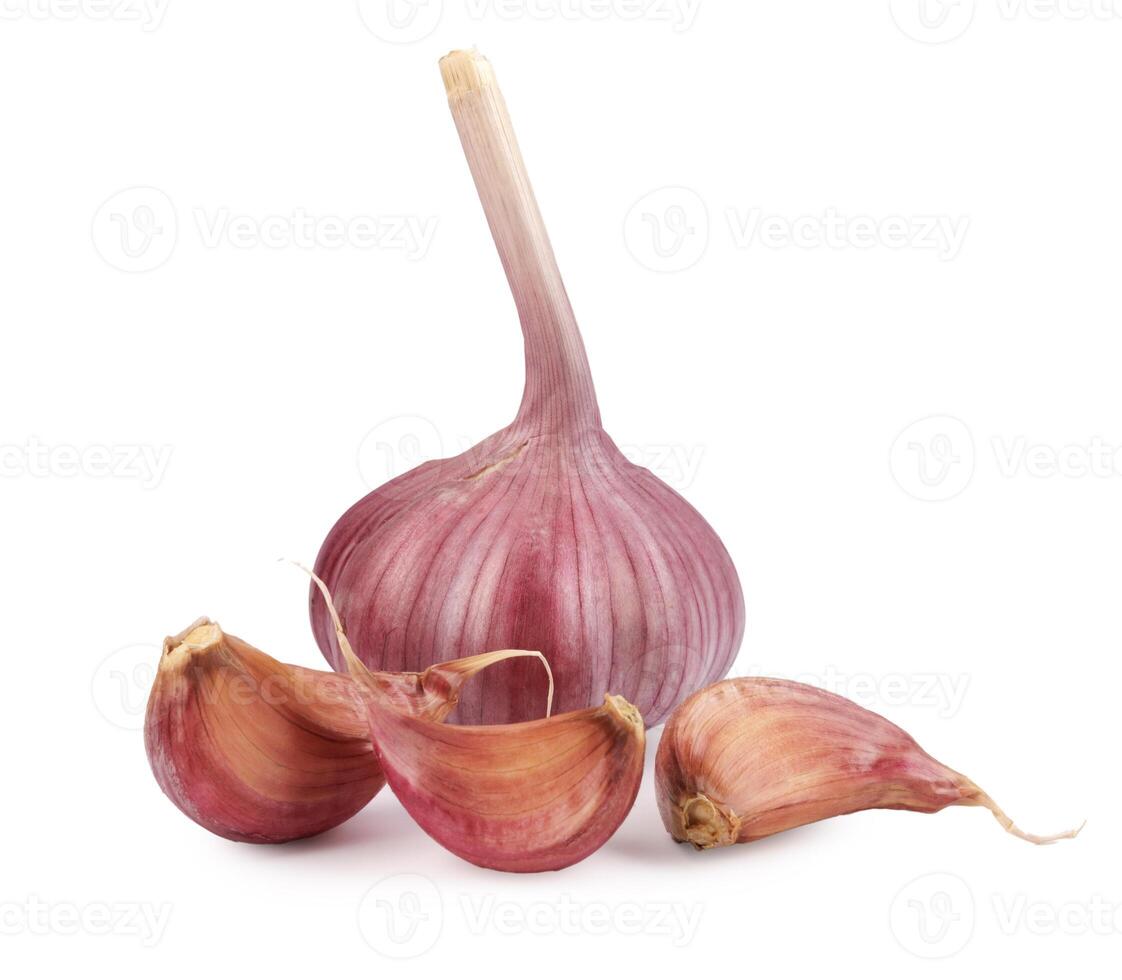 Garlic bulb and garlic cloves isolated on a white background. Garlic cloves on white. photo
